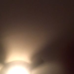 Meet your Posher, Leonard